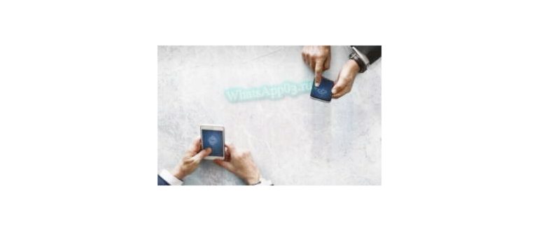 Особенности синхронизации WhatsApp на ПК и