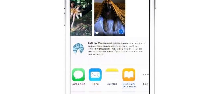 как подключить iphone к телевизору через