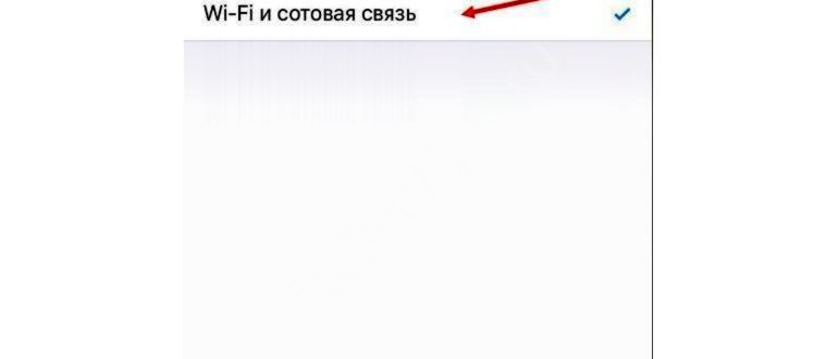 ватсапе сохранение