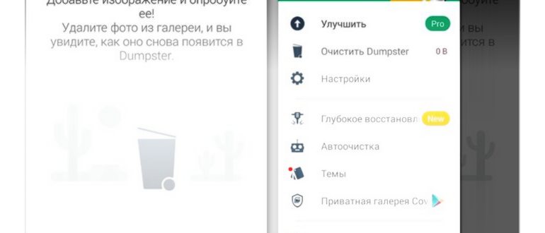 корзина