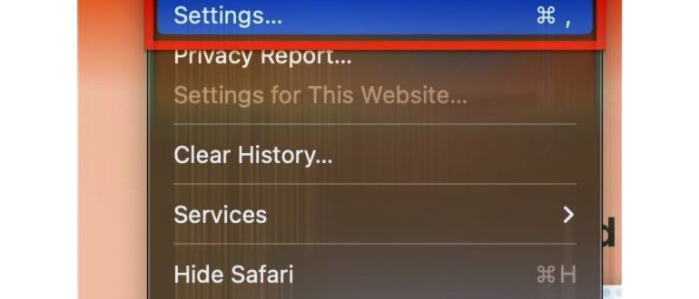 safari settings