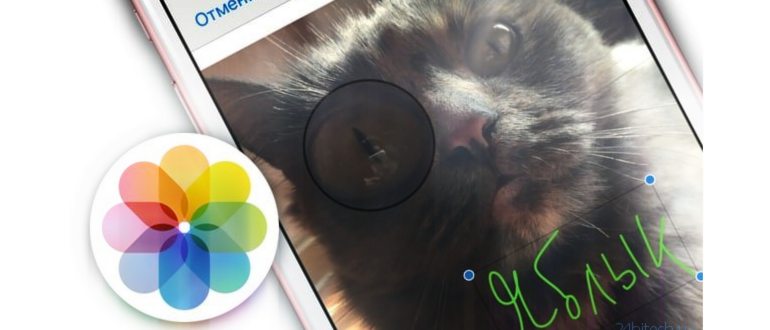 ТОП приложений на iPhone и iPad с помощью которых