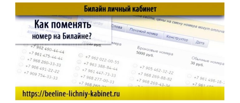 Служба поддержки Билайн: как связаться с