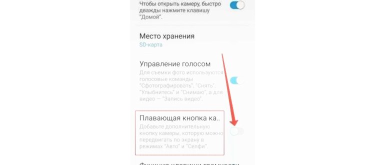 15 простых советов, как фотографировать цветы