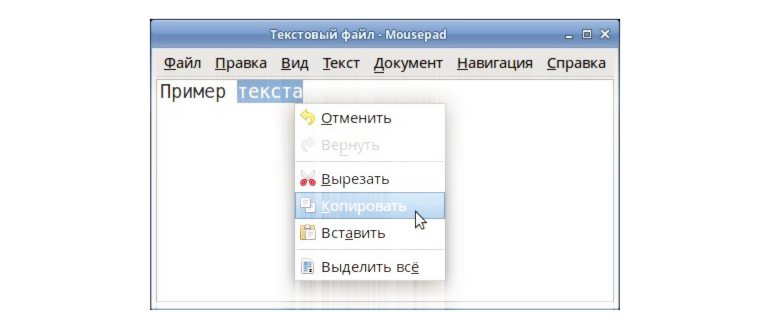 как выделить фрагмент текста клавиатурой |