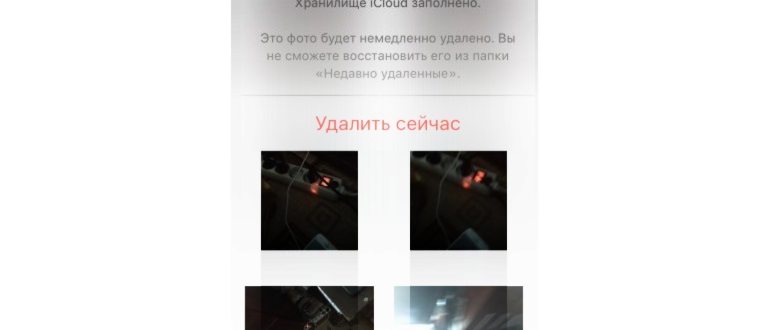 мои