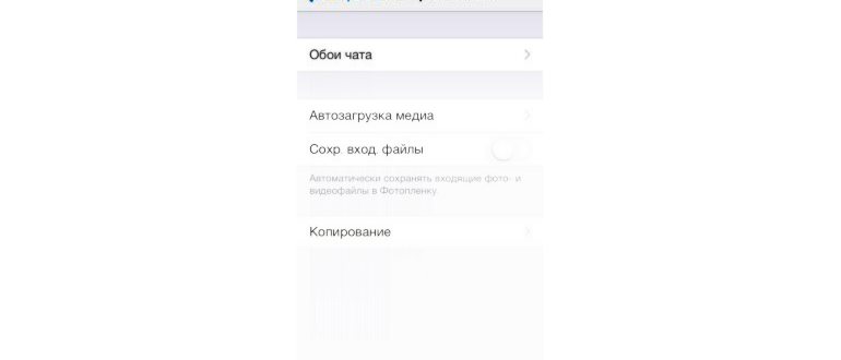 Как на iPhone 14/13/12/11/X/8 фотографировать