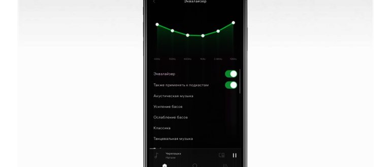 найти новую музыку со Spotify - Каменный лес Stone