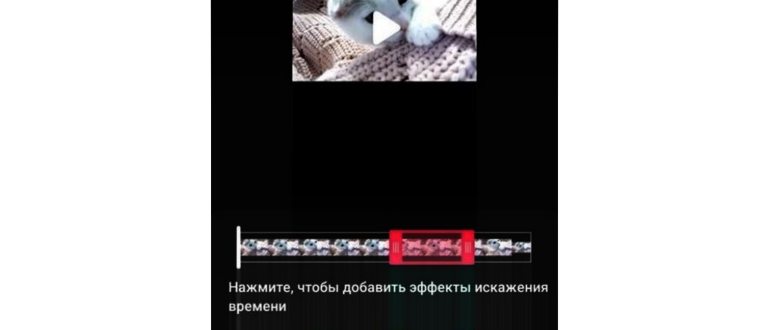 Способы управления скоростью видео в Тик
