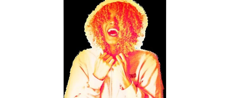 Рис. 1. Владелец