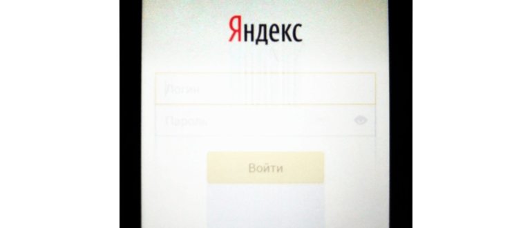Гид по сортам кофе: экспериментируем со