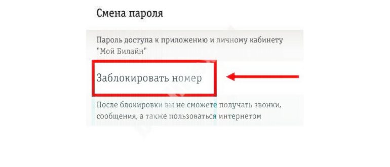 симка