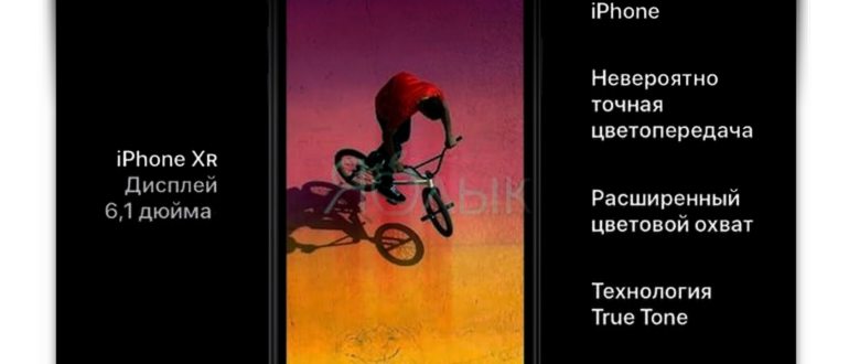 Сравнение iPhone XS и iPhone XR: существенна ли