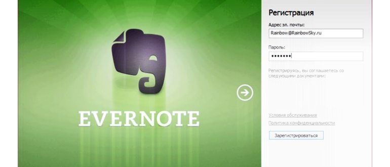 Evernote 10.52.1. Скриншот