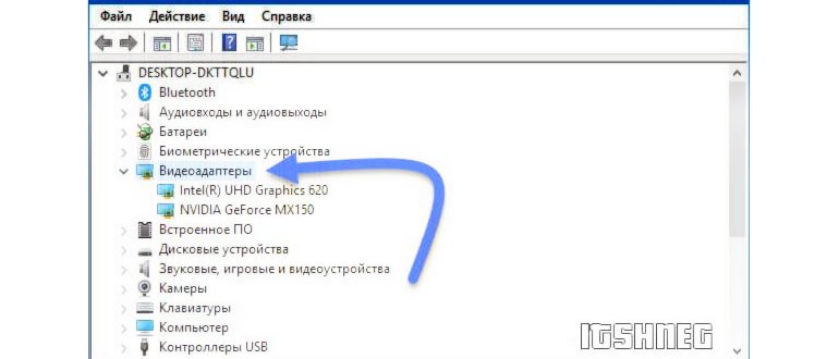 Список видеоадаптеров в системе Windows