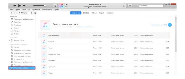 Voice Record