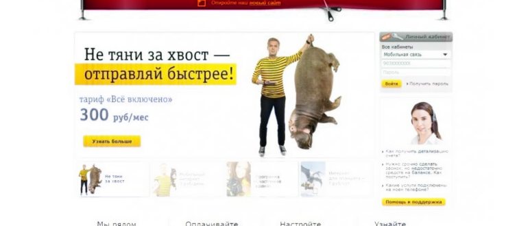 карта,sim,активации,операторов,оператора,узнать