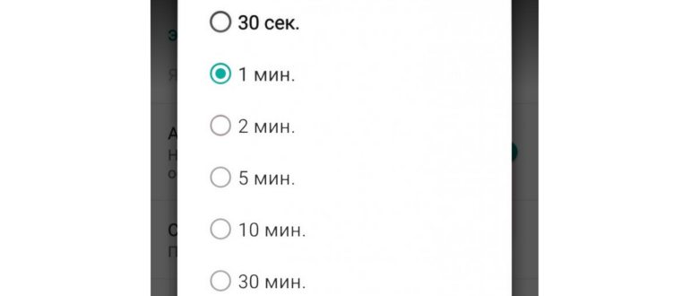kak-sdelat-na-windows-10-chtoby-ne-gas-ekran-na_2