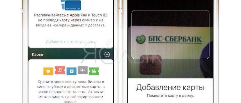 Как включить NFC на iPhone (все модели): разбор от