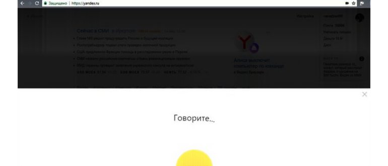 Алиса на рабочем