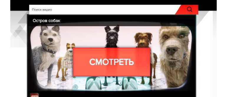 сайта,отключение,отключением,отключите