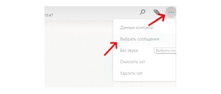 Читать сообщение WhatsApp без синих