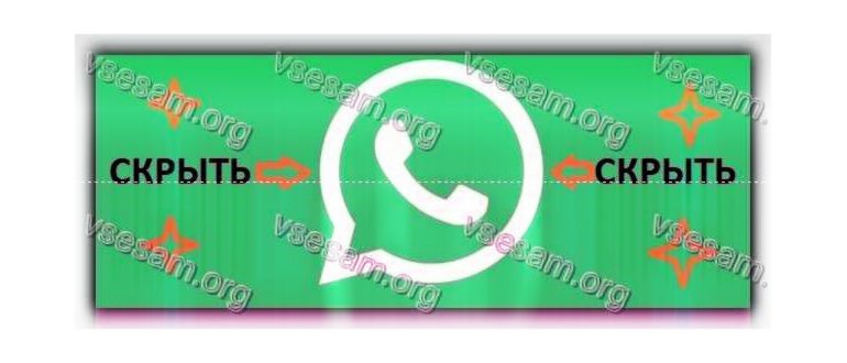 Просмотр статуса WhatsApp, который был скрыт от