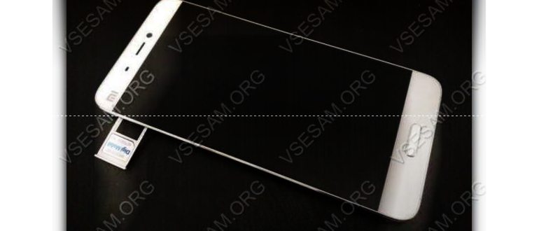 Samsung Galaxy