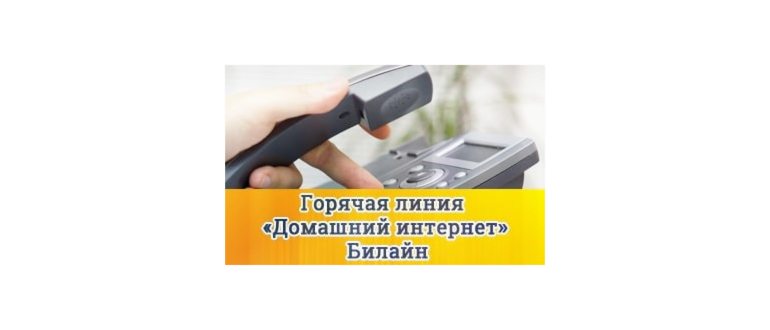 Бесплатная горячая линия