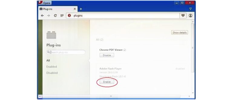 flash-player