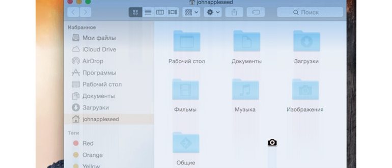 virezat-faily