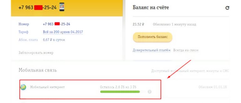 Купон 6 за 199 в Бургер