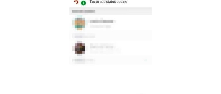 Инструкция, как установить аватарку в WhatsApp,
