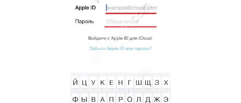 Лиза