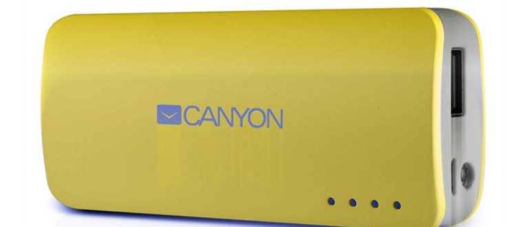 Xiaomi Mi Power Bank 3 Pro 20000