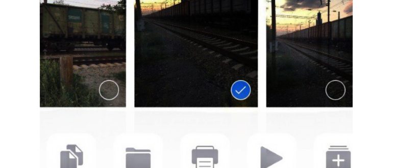 Как поделиться Живыми фото (Live Photos) на iPhone