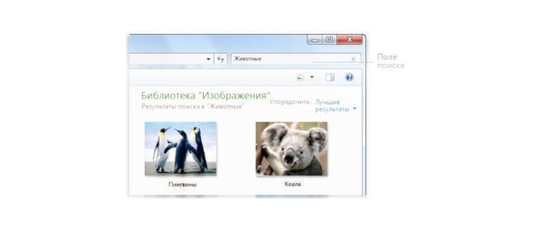 Окно автозапуска подключенной к Windows