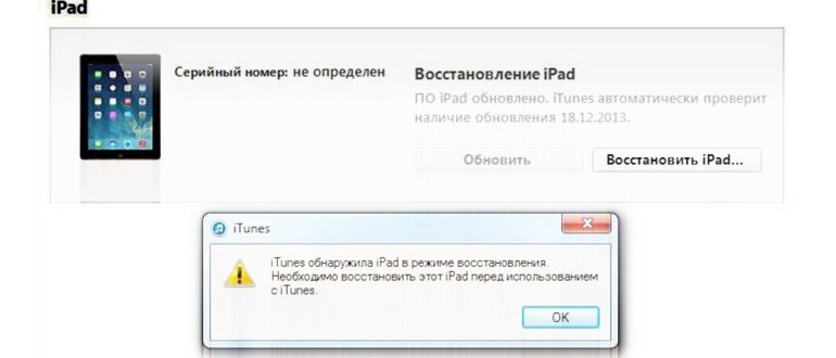 iPad в режиме
