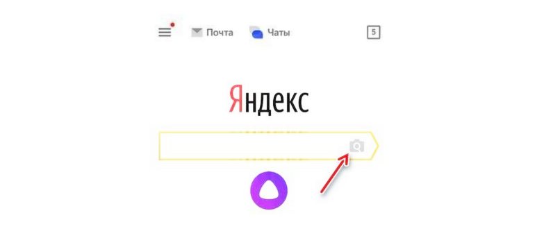 Поиск по
