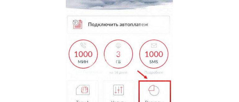 Полезные USSD команды оператора
