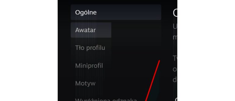 Ping