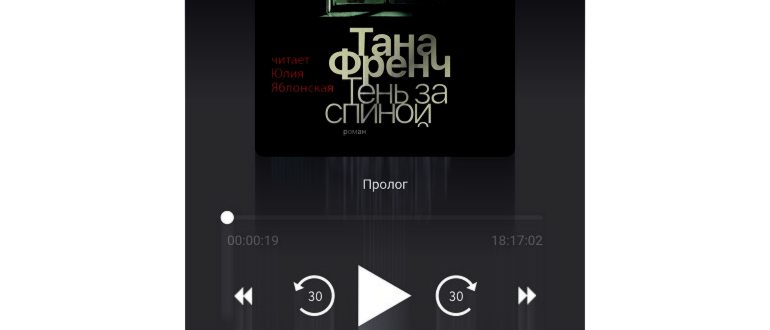C:Users79506DesktopНовая папкаmybook-3