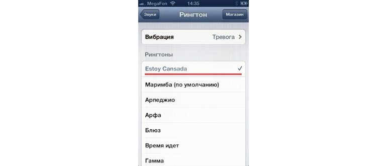 Как поставить мелодию на звонок