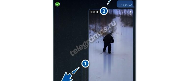 Отправляем видеосообщение в Телеграм - загрузка