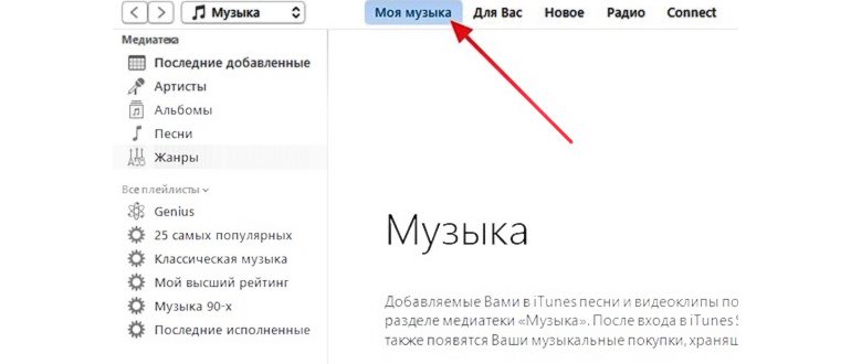 раздел Моя