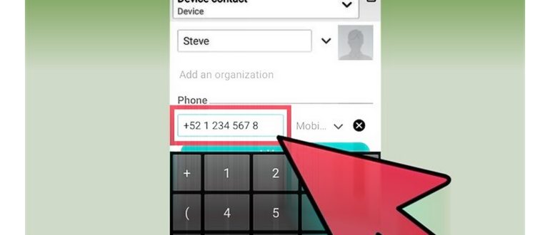 Как отправить сообщение WhatsApp на номер человеку