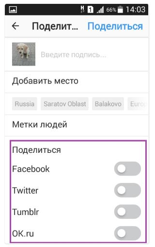 Как посмотреть закрытый аккаунт в Instagram