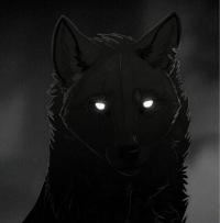 Почему не Отображается Актуальное в Инстаграм • Privacy overview