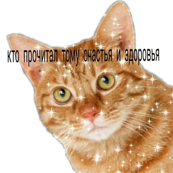 сохранить прямой эфир