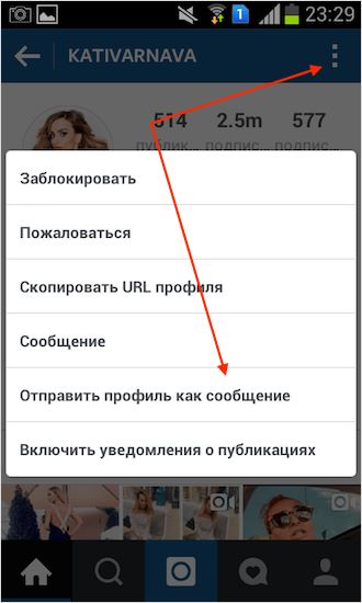 Отправить профиль